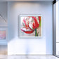 FLOWERS LIMITED EDITION - Tulip Amsterdam 100x100cm