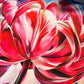 FLOWERS LIMITED EDITION - 2024 Tulip Cherish Fresh Flower 60x60cm