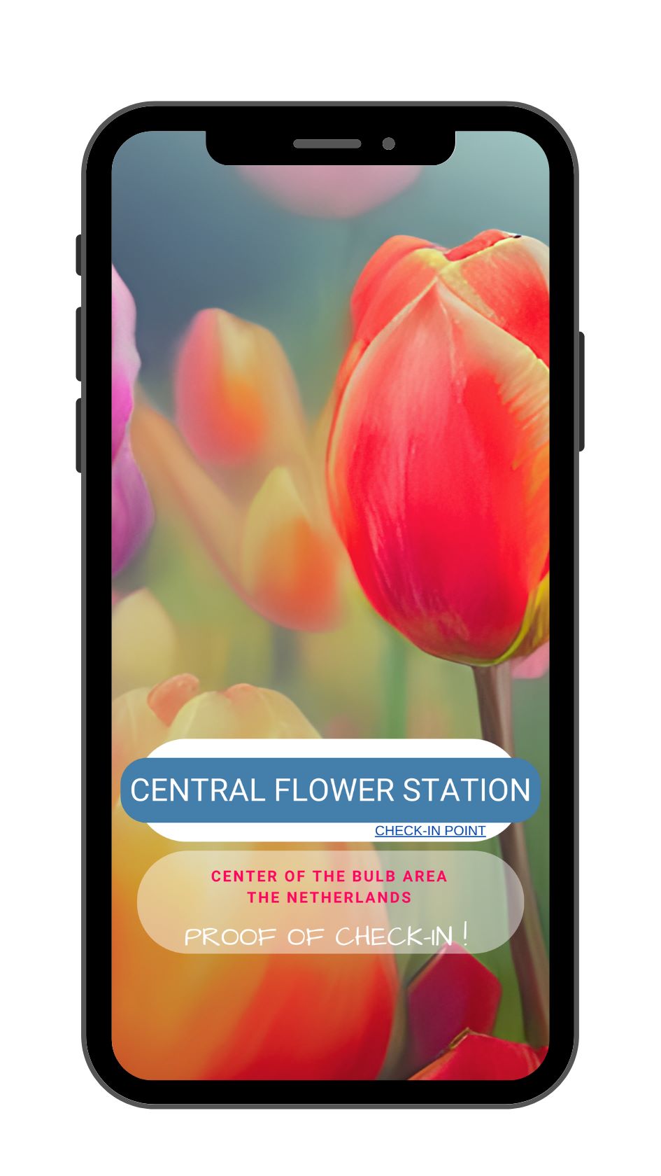 Screensaver CFS - Tulip